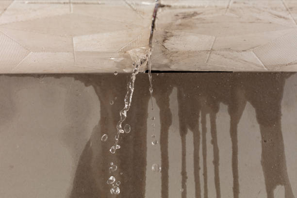 Professional Water Damage Inspection technician working in Marstons Mills, MA